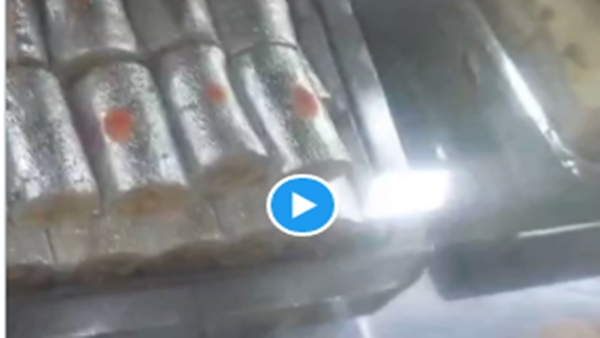 Surat Viral Video Surat Viral Video