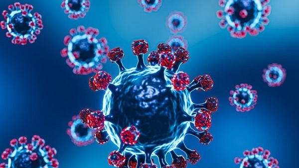 Covid-19 JN.1 variant Guidelines