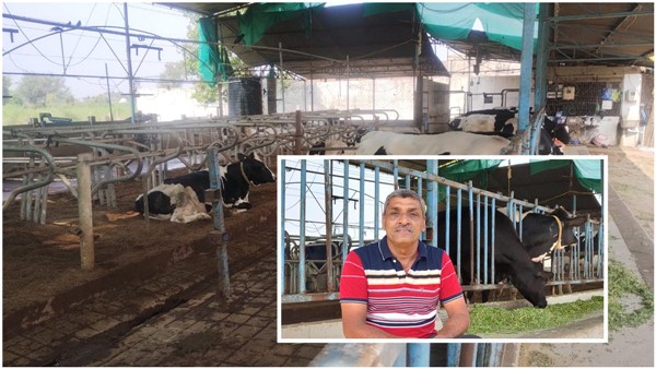 JaYeshbhai Shambhubhai Patel,