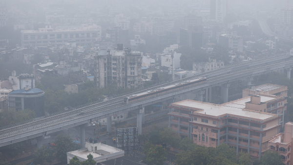 kamosami varsad kamosami varsad