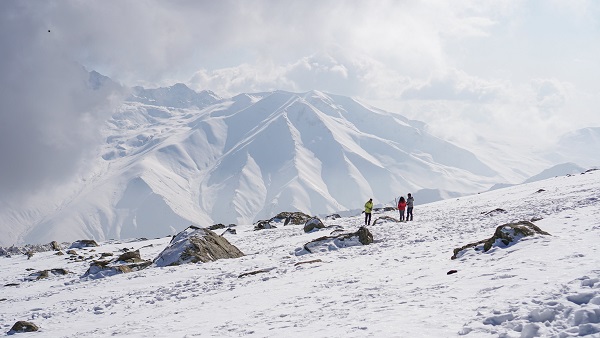 Kashmir 