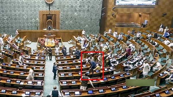 Parliament security Parliament security