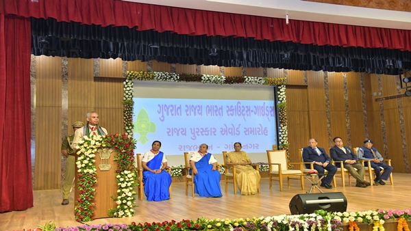 Scouts - Guides award