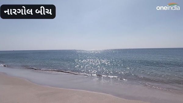 નારગોલ બીચ