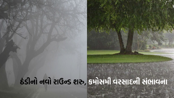 cold and rain