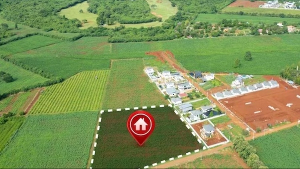 Digital Crop Surve