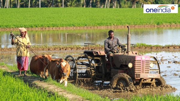 Farmers 