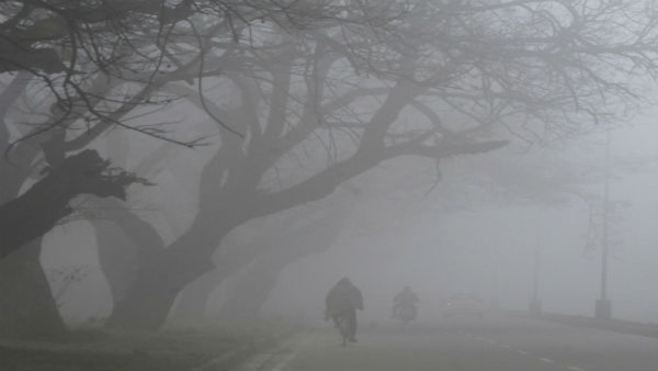 fog fog