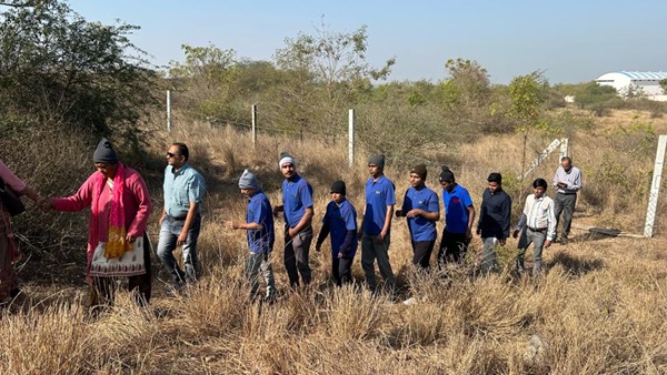 forest healing therapy forest healing therapy
