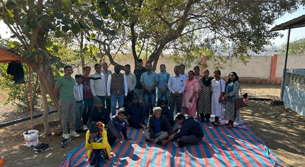 forest healing therapy forest healing therapy