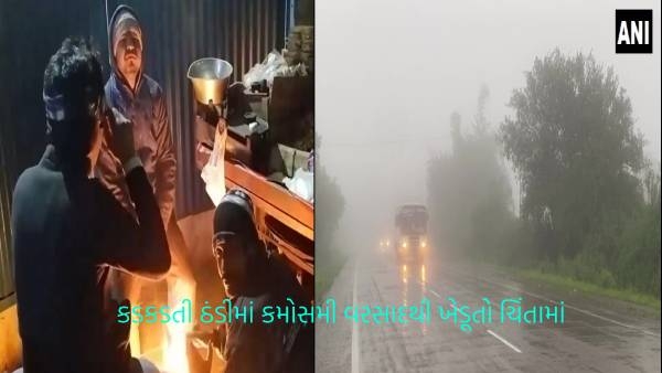 gujarat rain