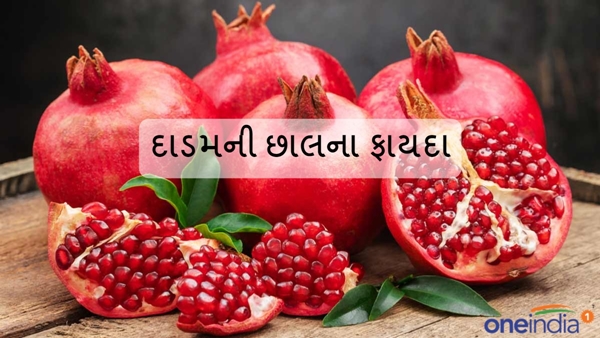 Pomegranate 