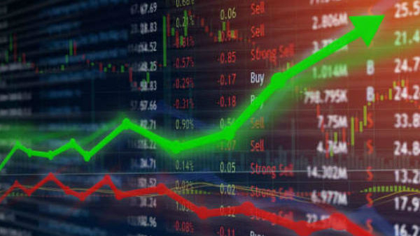 Share Market
