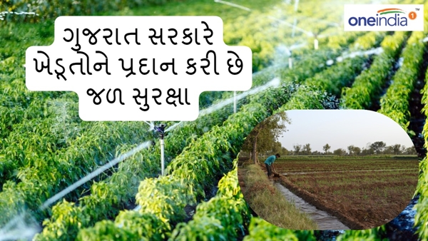 Gujarat government 