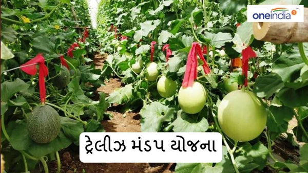 Agriculture News