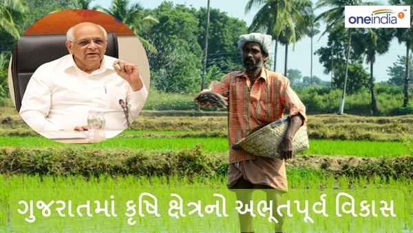 agriculture sector in Gujarat