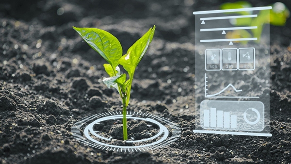 Artificial Intelligence in Agriculture