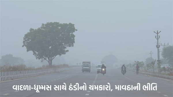 cold-fog