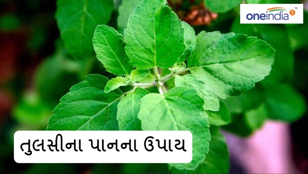 Tulsi na upay