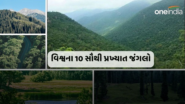 Famous Forests In The World