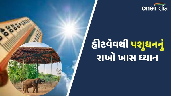 Heatwave Alert in Gujarat Heatwave Alert in Gujarat