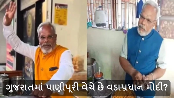 PM Modi Doppelganger