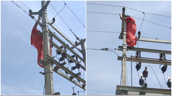 woman climbed a high tension wire
