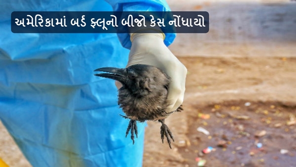 Bird Flu in Gujarati