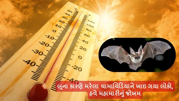 heatwave in Gujarati