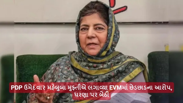 Lok Sabha Election 2024 Lok Sabha Election 2024