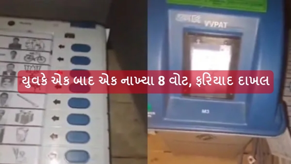 Lok sabha Election Voting Video