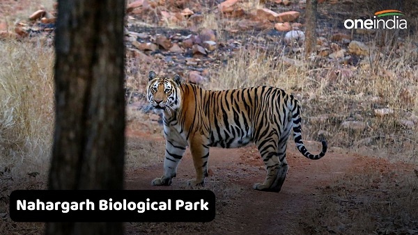 Nahargarh Biological Park