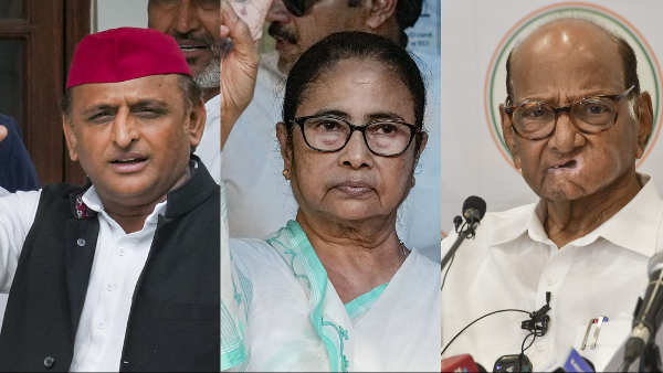 mamta