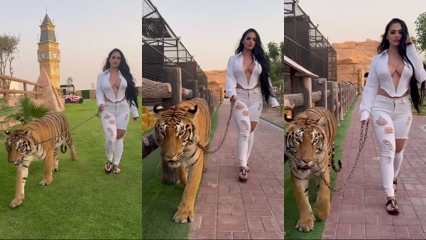 Nadia Khar Tiger Video