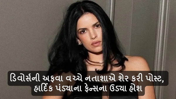 Natasha Hardik Divorce