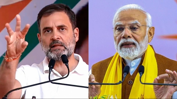 News Nation Exit Poll Result 2024