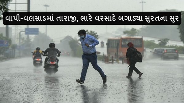 Valsad Rain Update