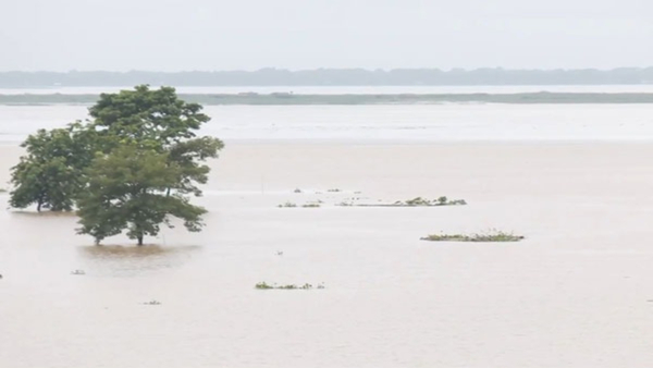 Assam flood