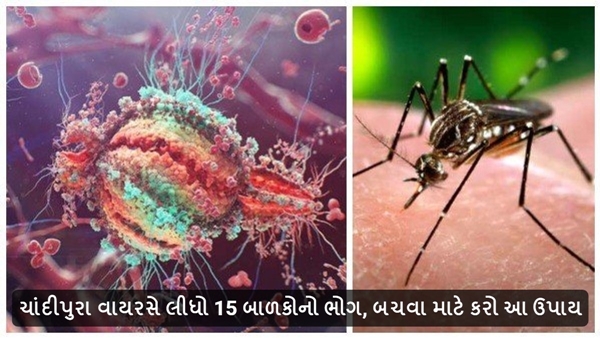 Chandipura virus in Gujarat