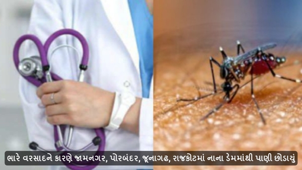 Chandipura Virus in Gujarat