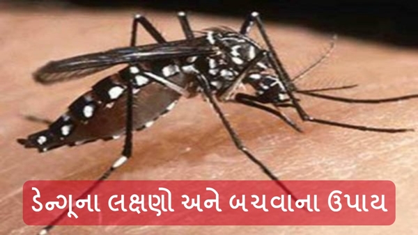 Health Tips in Gujarati
