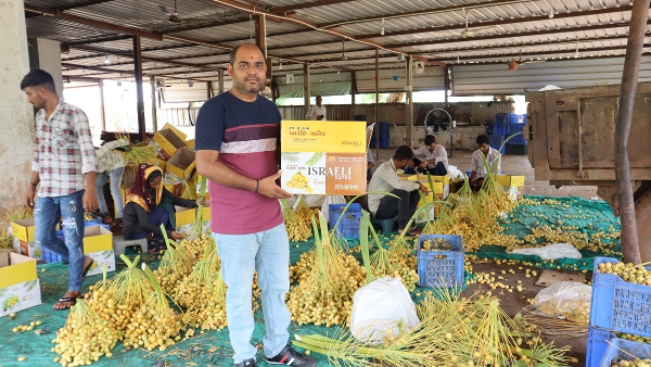 Agriculture Agriculture