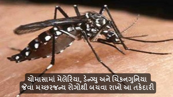 Health Care Tips in Gujarati