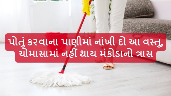 How to get rid from monsoon insects in Gujarati How to get rid from monsoon insects in Gujarati