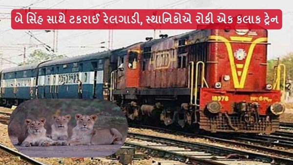 Lions Collided with a Train