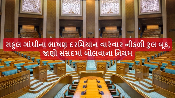 Parliament Speech Rule Parliament Speech Rule