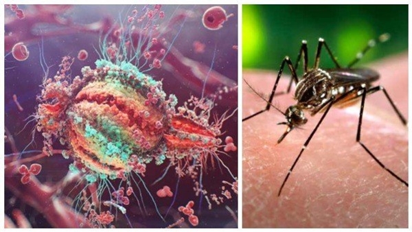What is Chandipura Viral Encephalitis