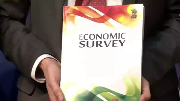 What is Economic Survey