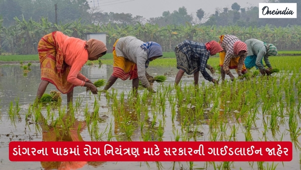 Agriculture News