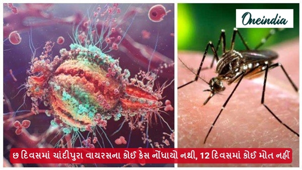 Chandipura virus in Gujarat